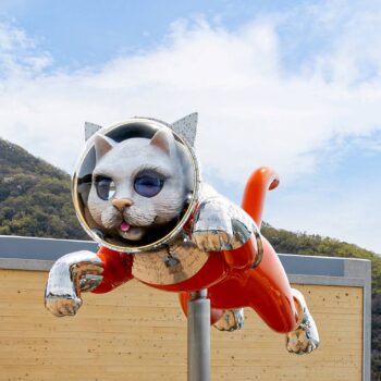 4F SHIP'S CAT（シップス・キャット） - さかてらす