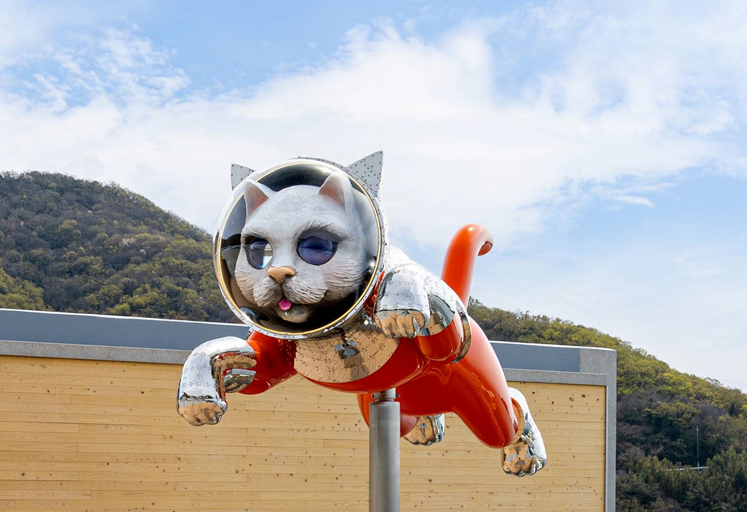 shipscat_shodoshima